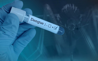 Spike in dengue cases triggers alerts