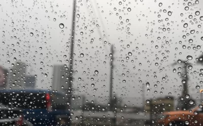 Bongbong Marcos suspends public school classes, gov’t work due to ‘Florita’