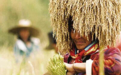 Marcos bats for close coordination on food supply between nat’l, local governments