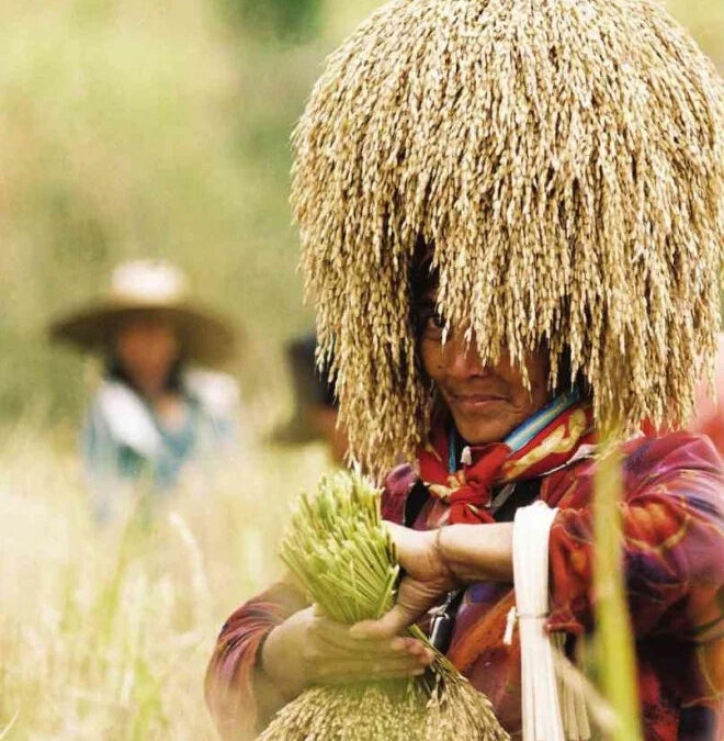 Marcos bats for close coordination on food supply between nat’l, local governments