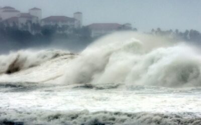 Power outages, damage as typhoon hits S Korea, southwest Japan