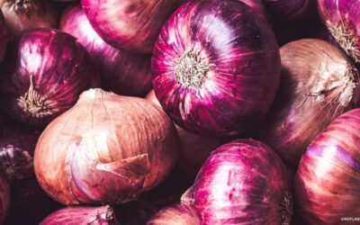Metro Manila — The Department of Agriculture (DA) is looking into the increase in the prices of red onions, which now sell for up to ₱300 per kilo.