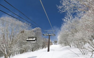 Disaster to destination: Fukushima woos tourists with snow