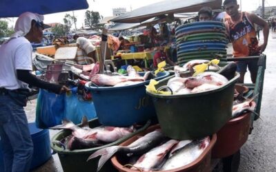 DA Hopes To Stir More International Support For Agriculture Sector