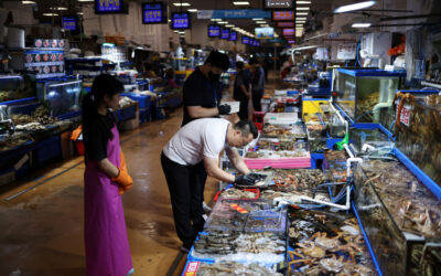 South Korean market tests seafood to dispel Fukushima radiation fears