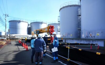 U.N. nuclear chief to view soil removed from Fukushima